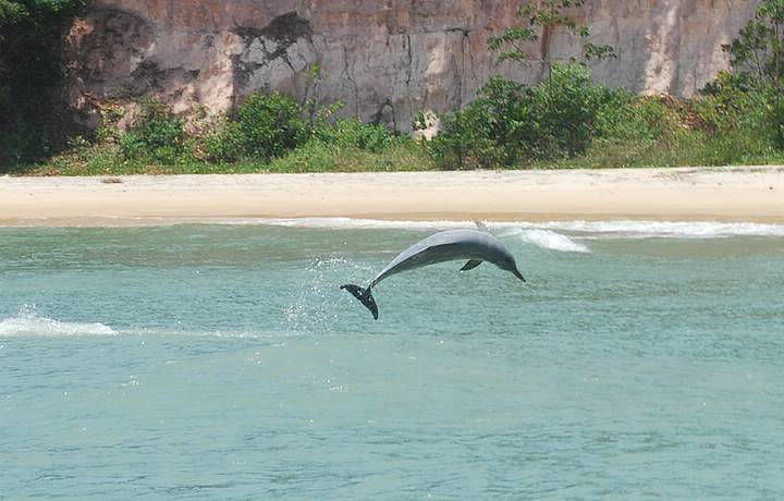 Baía dos Golfinhos, Pipa (Tibaú do Sul, RN)